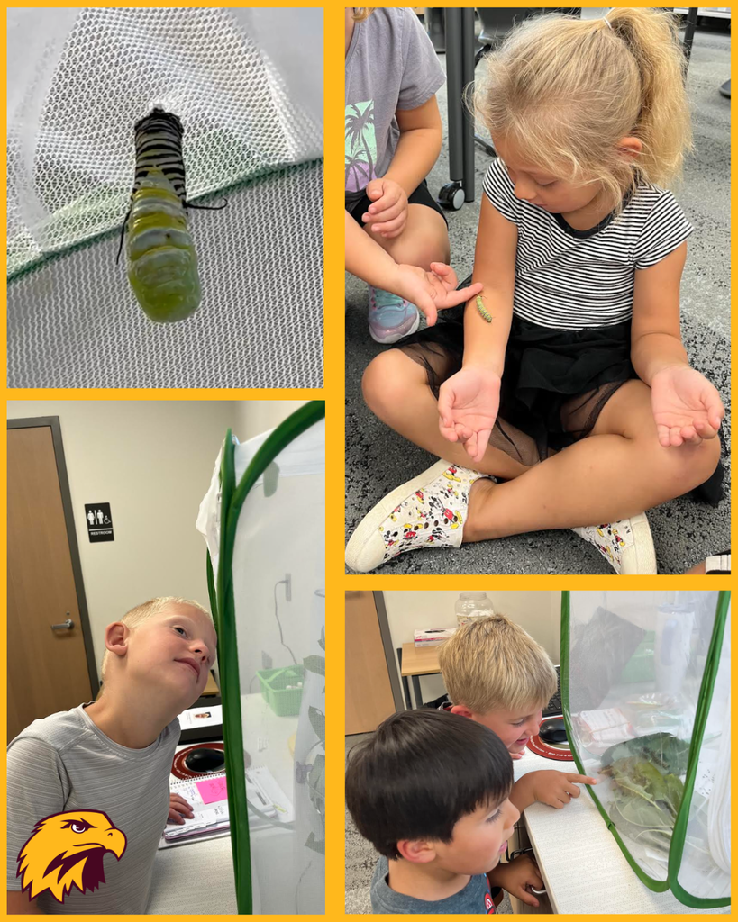 TK Students with Caterpillars