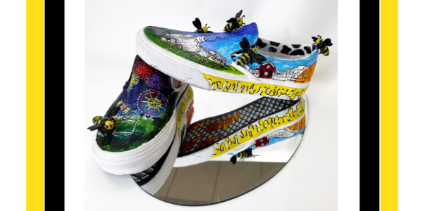 Vans competition sales