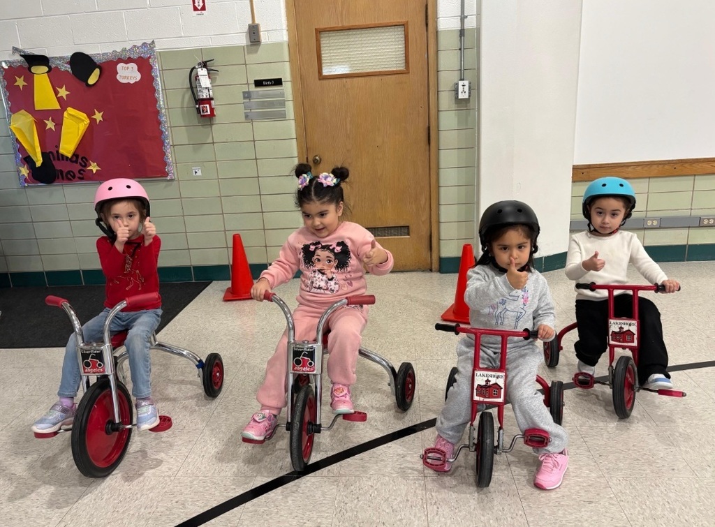 Gross Motor