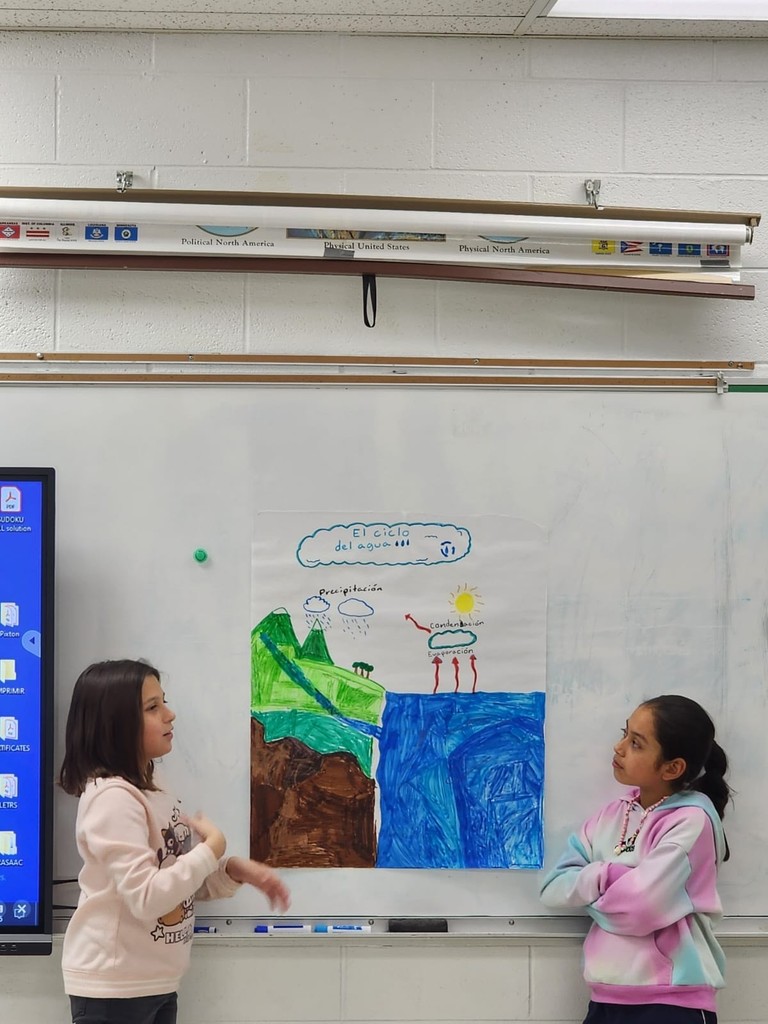 water cycle