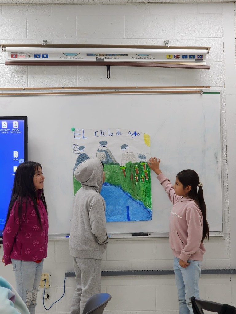 water cycle