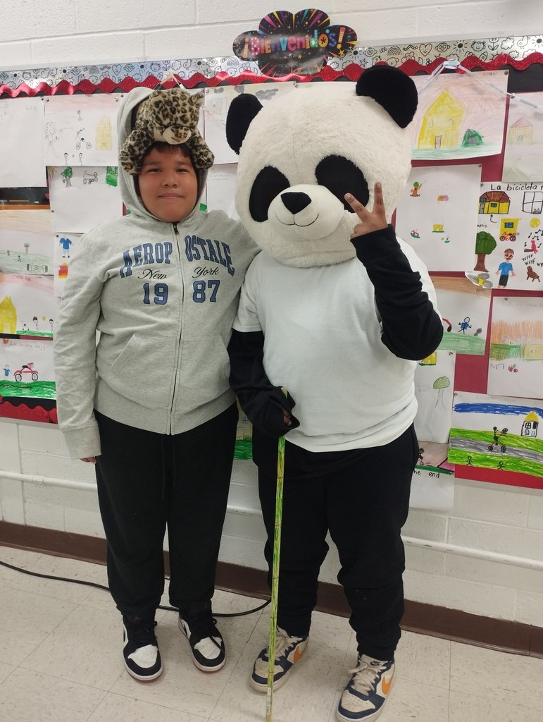 safari day