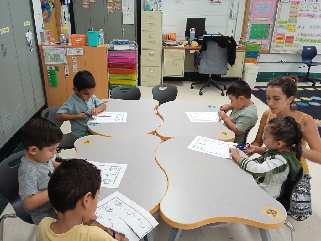 Fine Motor
