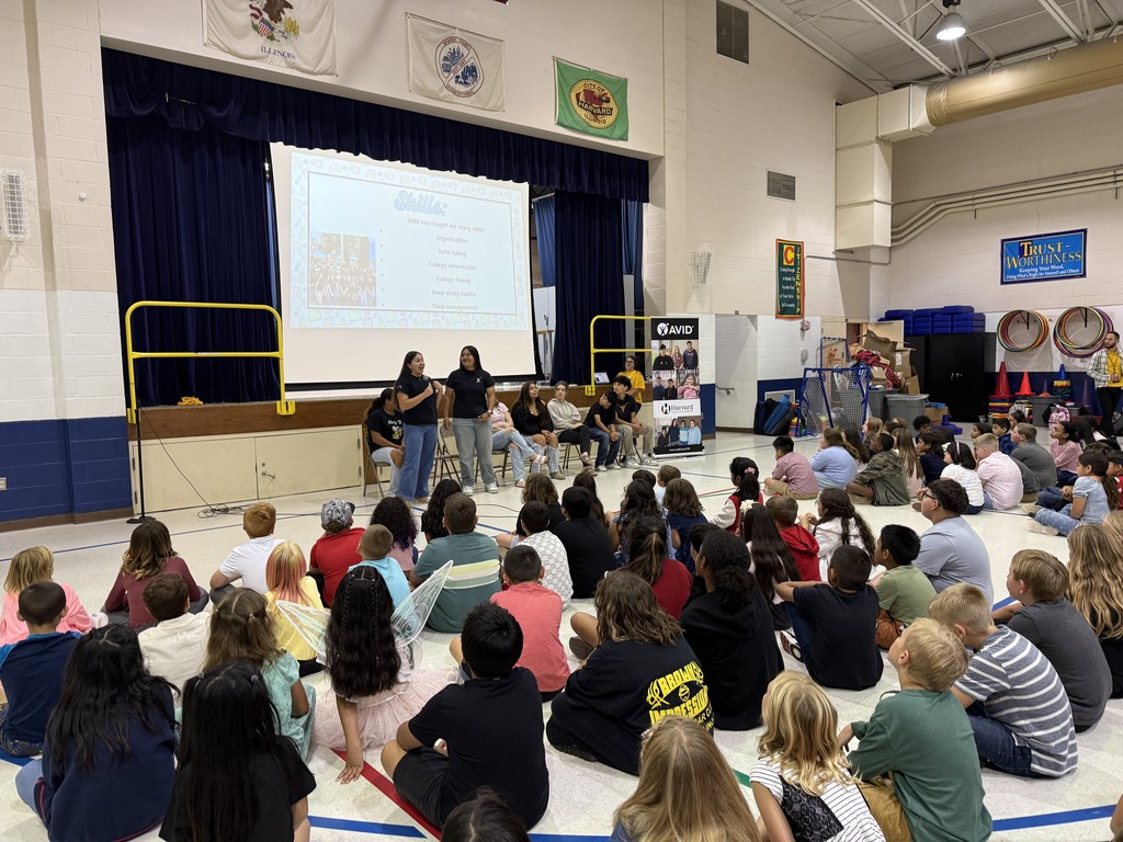 avid assembly