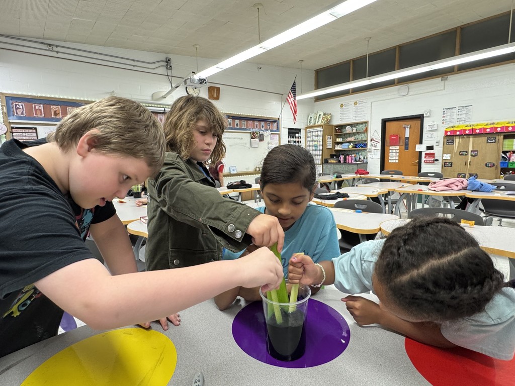 celery experiment