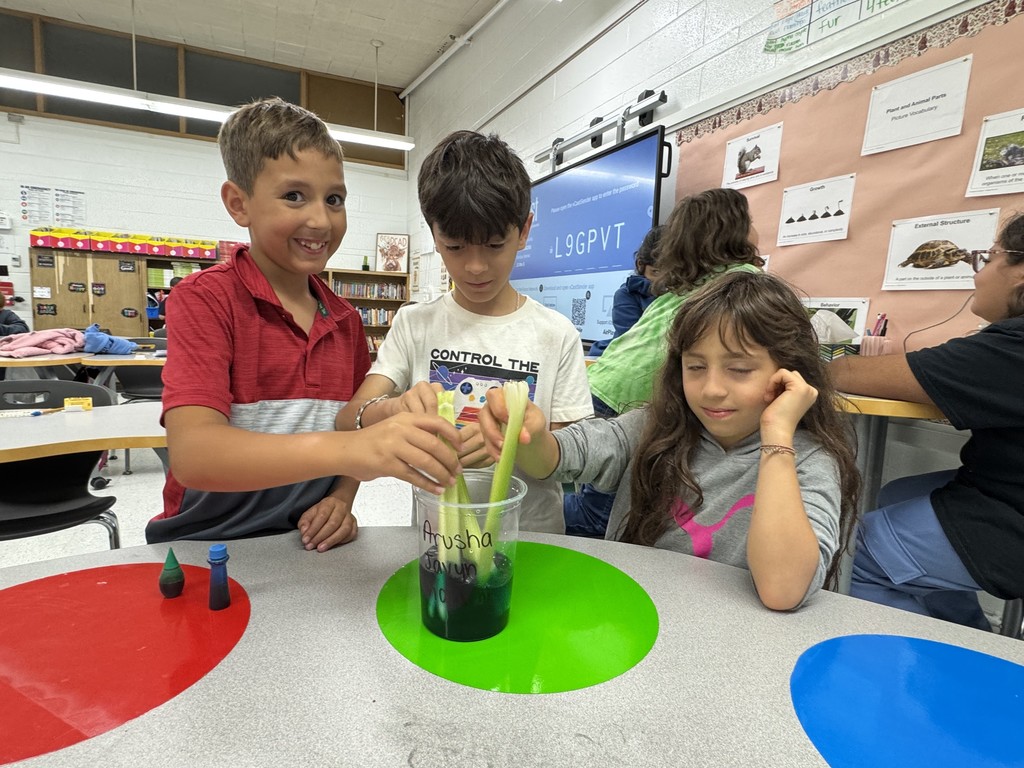 celery experiment