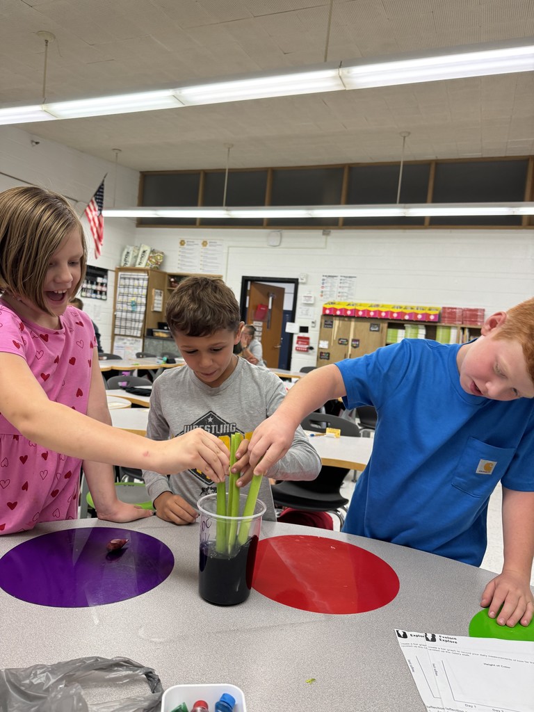 celery experiment