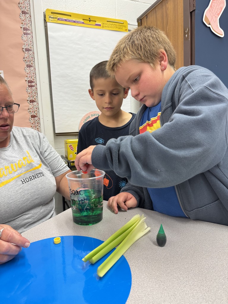 celery experiment