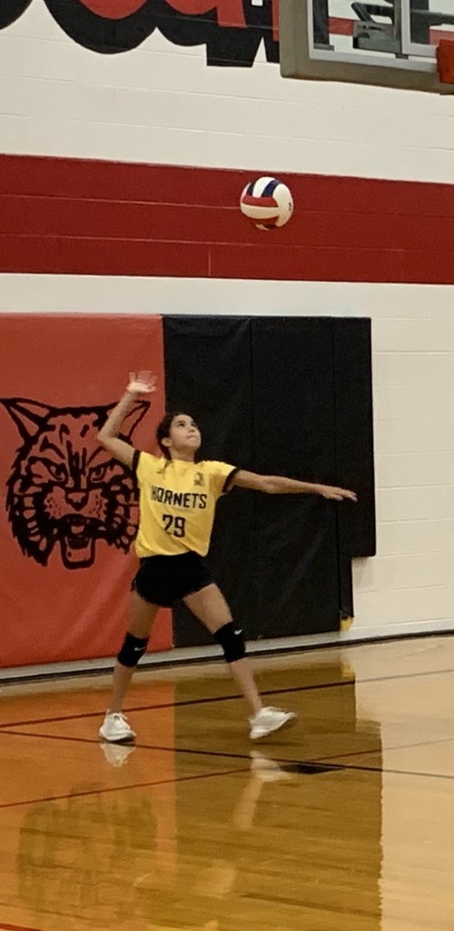 vball