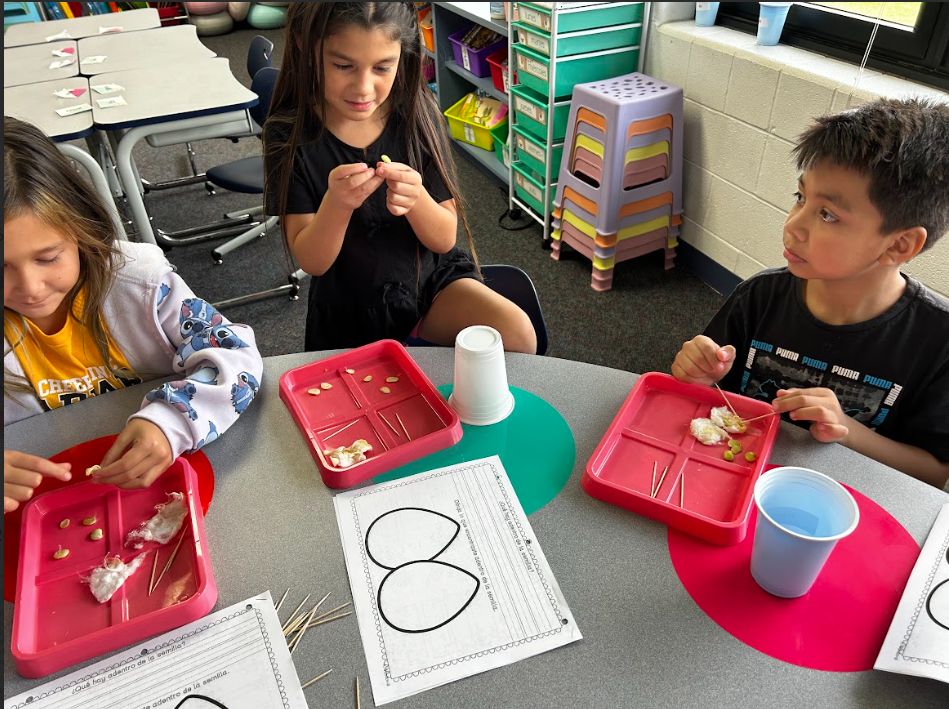 science explorations 