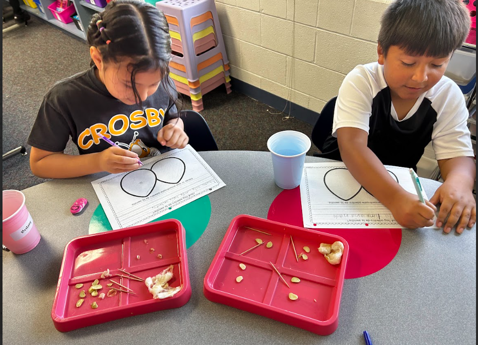 science explorations 