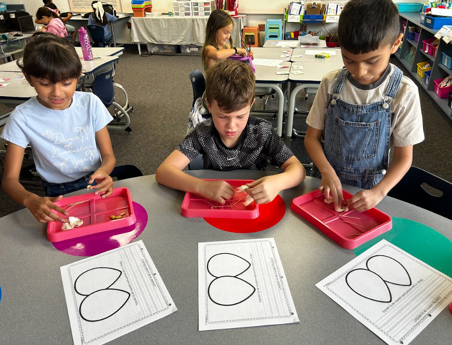 science explorations 