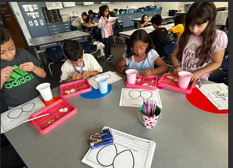 science explorations 