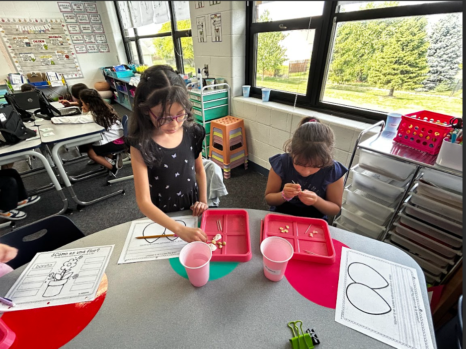 science explorations 