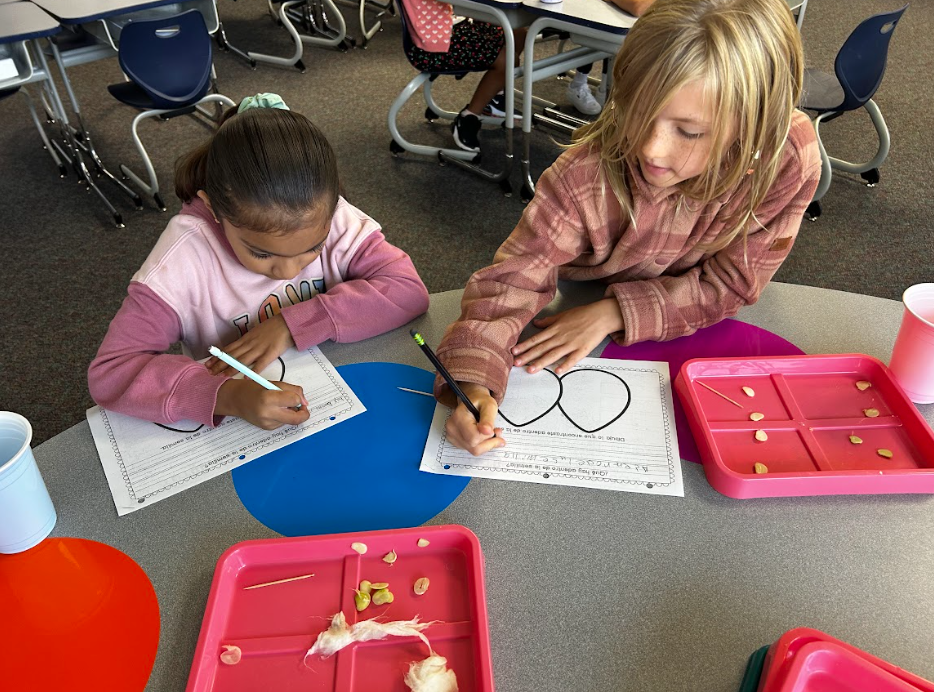 science explorations 