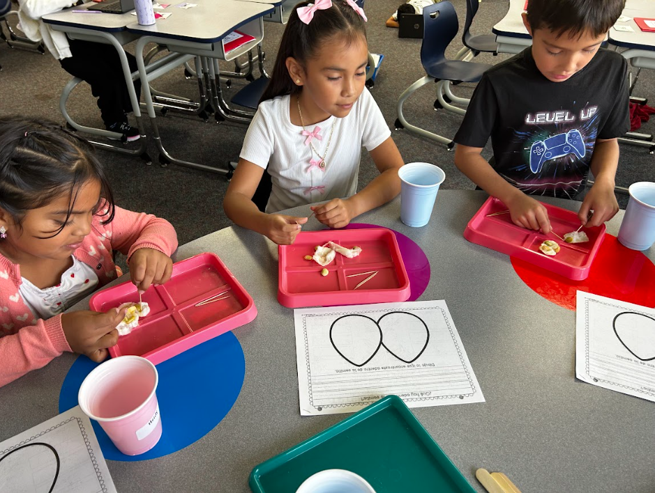 science explorations 