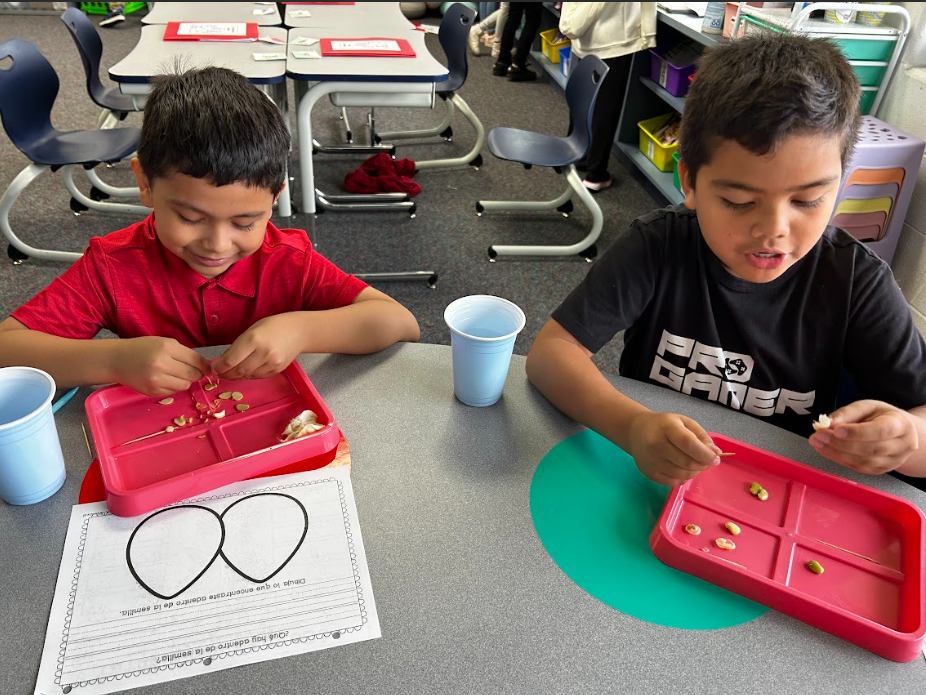 science explorations 