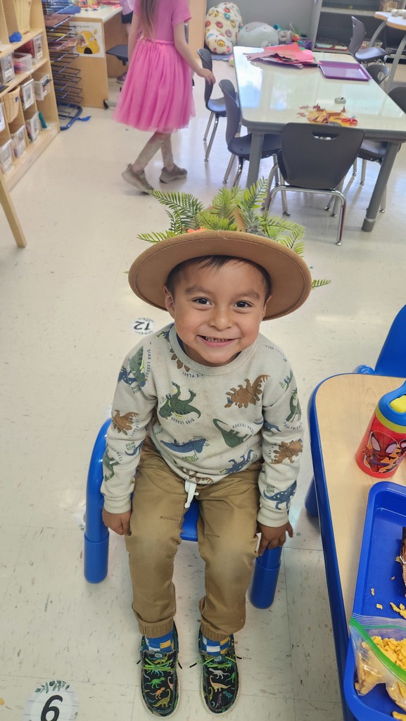 Crazy Hat/Hair