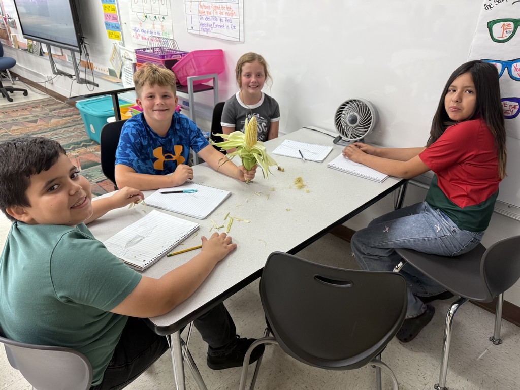 corn diagrams