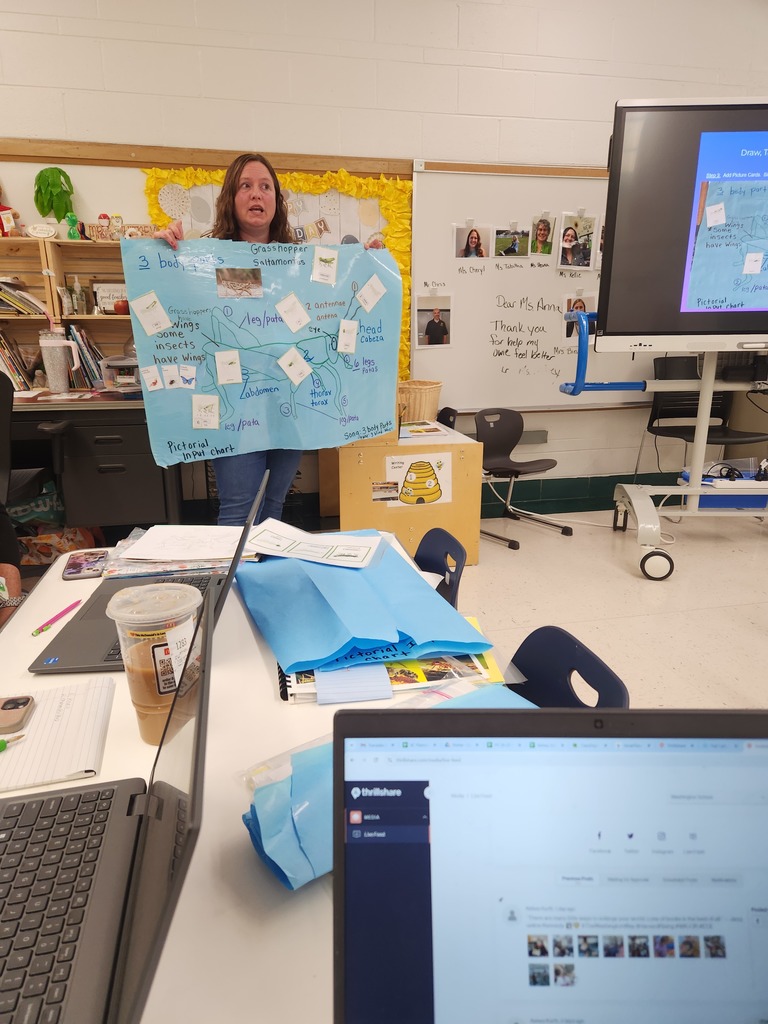 Instructional Coach Appreciation