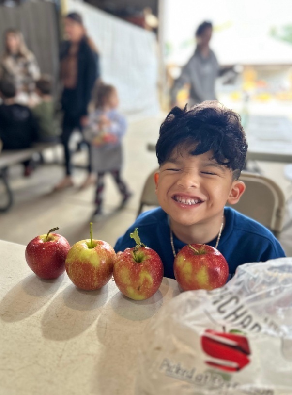 Apple Orchard