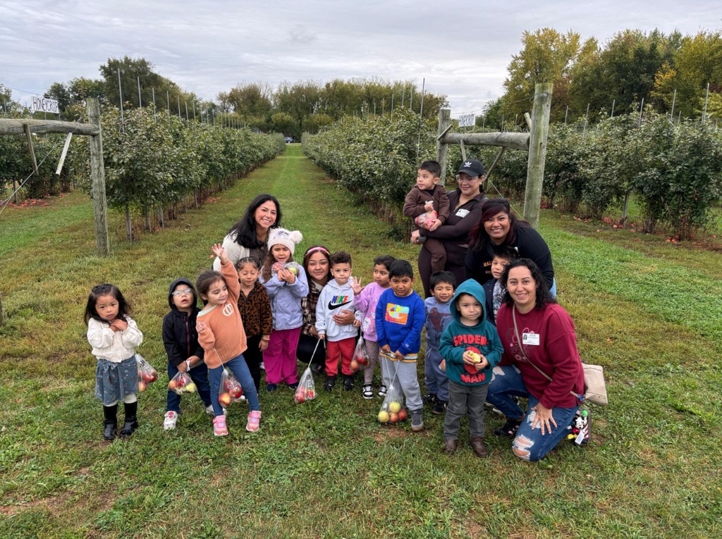 Apple Orchard