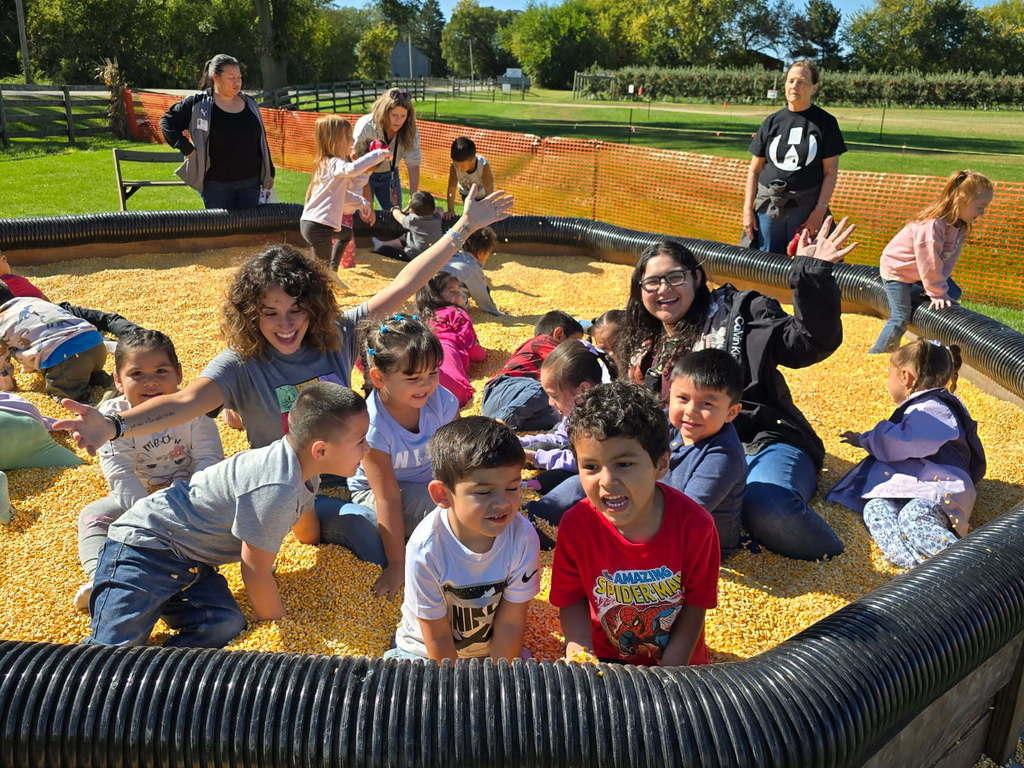 Apple Orchard