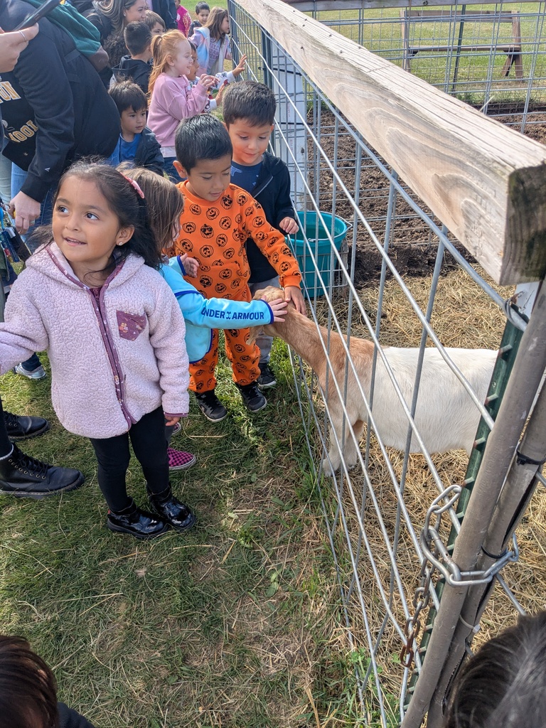 Apple Orchard
