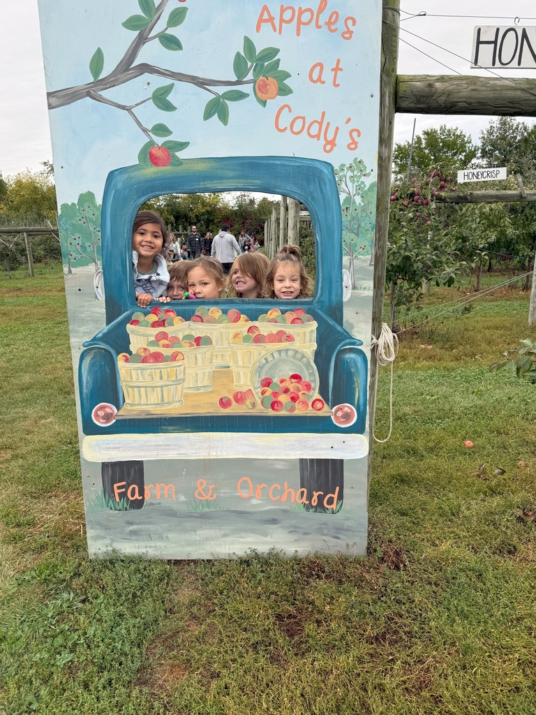 Apple Orchard