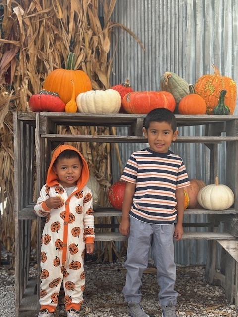 Tom's Farm