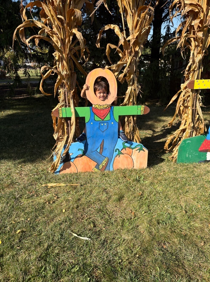 Tom's Farm