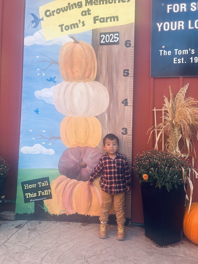 Tom's Farm