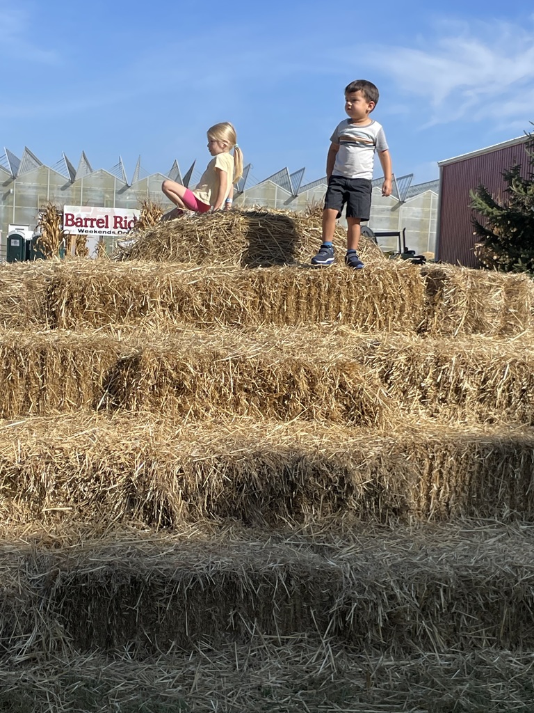 Tom's Farm