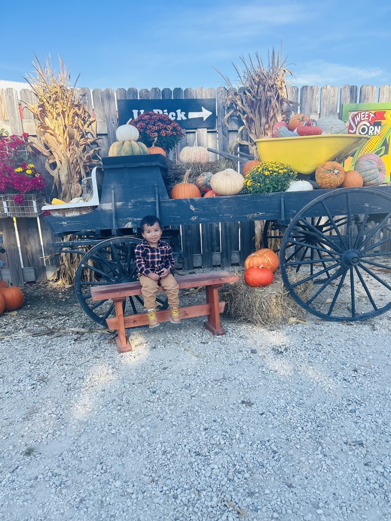Tom's Farm