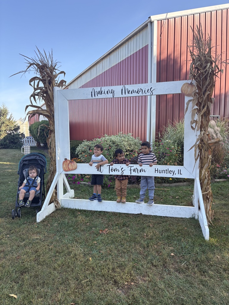 Tom's Farm