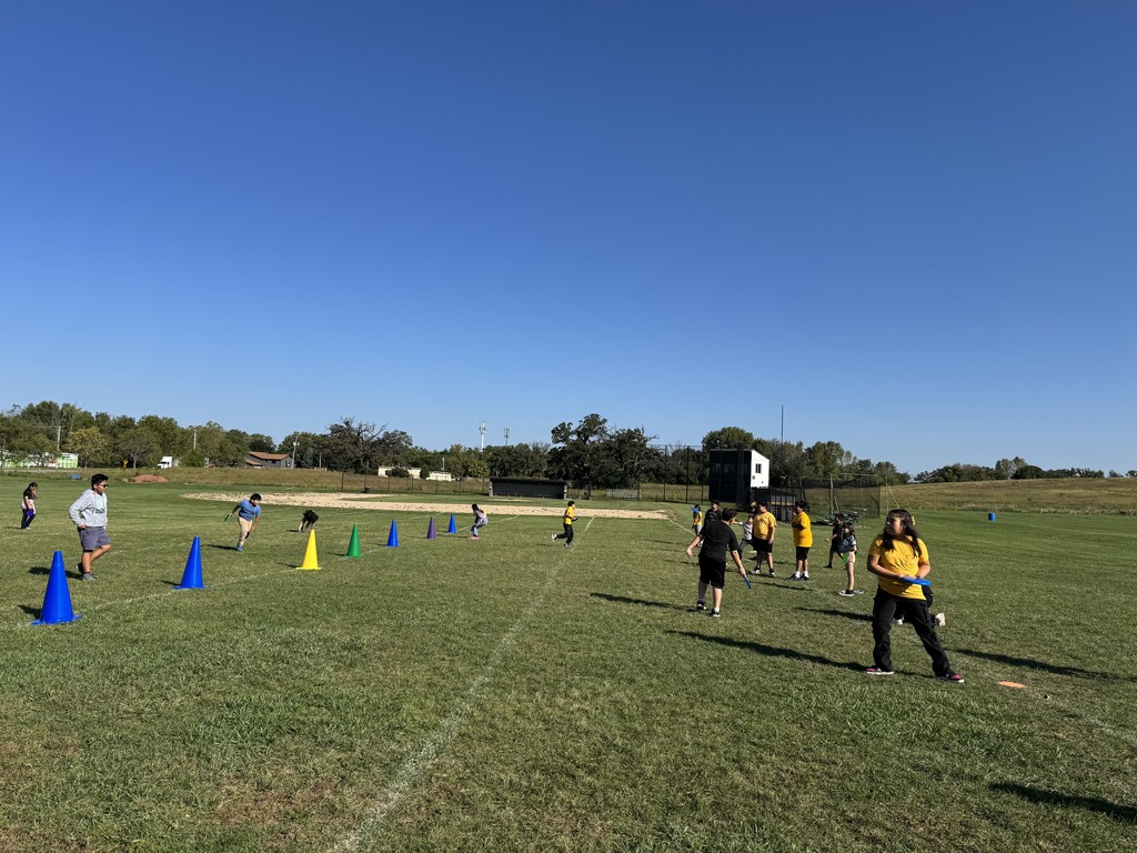 frisbee gym