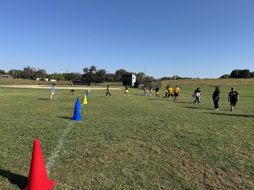 frisbee gym
