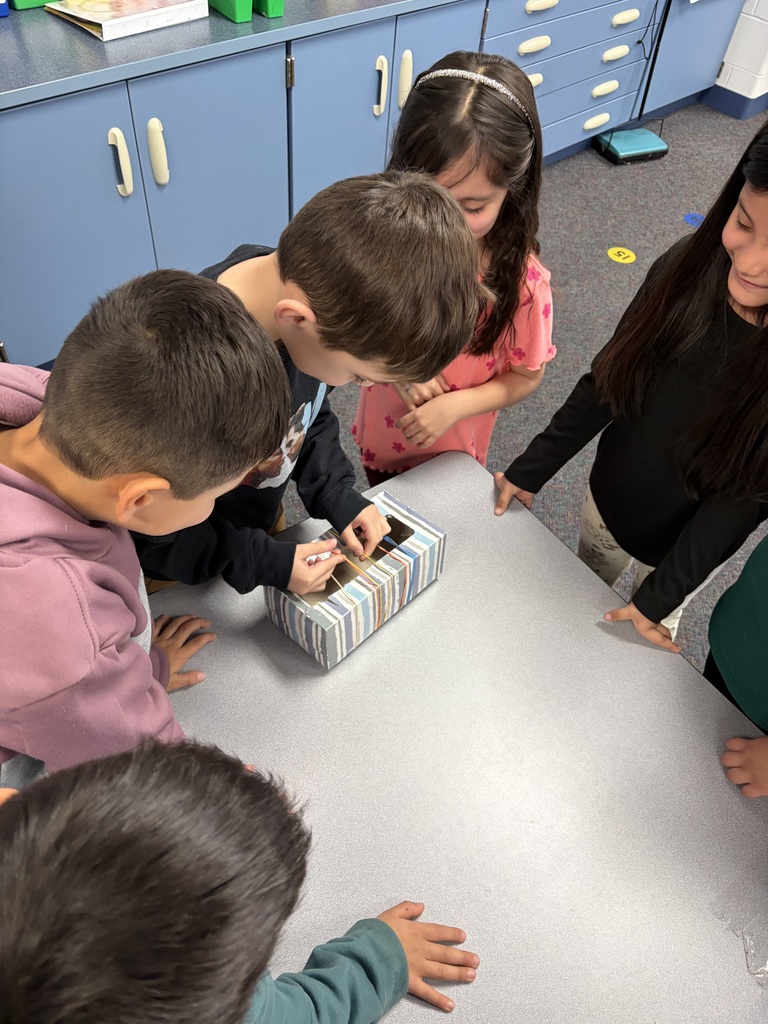 Busy learners in action! 