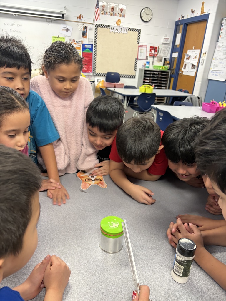 Busy learners in action! 