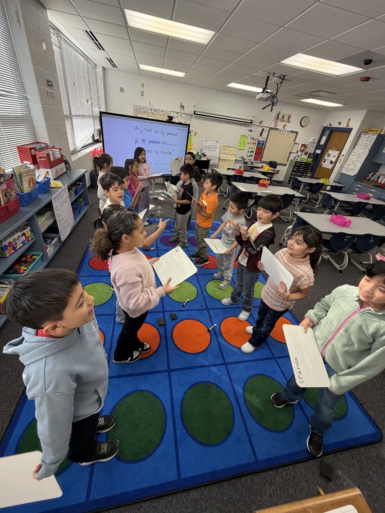 Busy learners in action! 