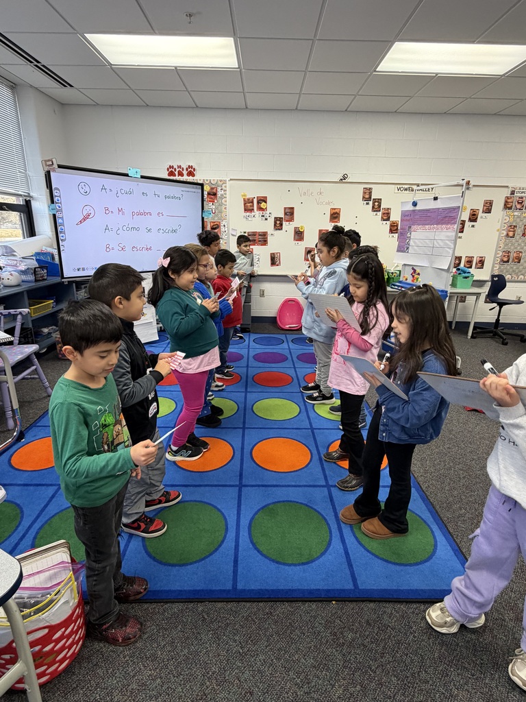 Busy learners in action! 