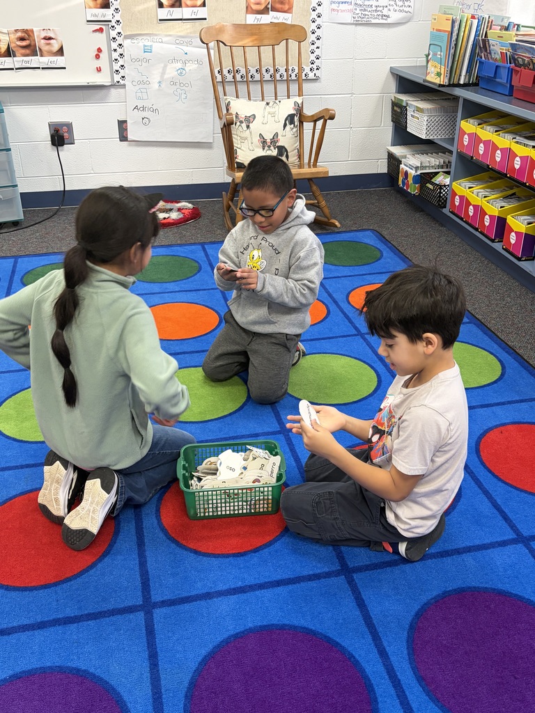 Busy learners in action! 