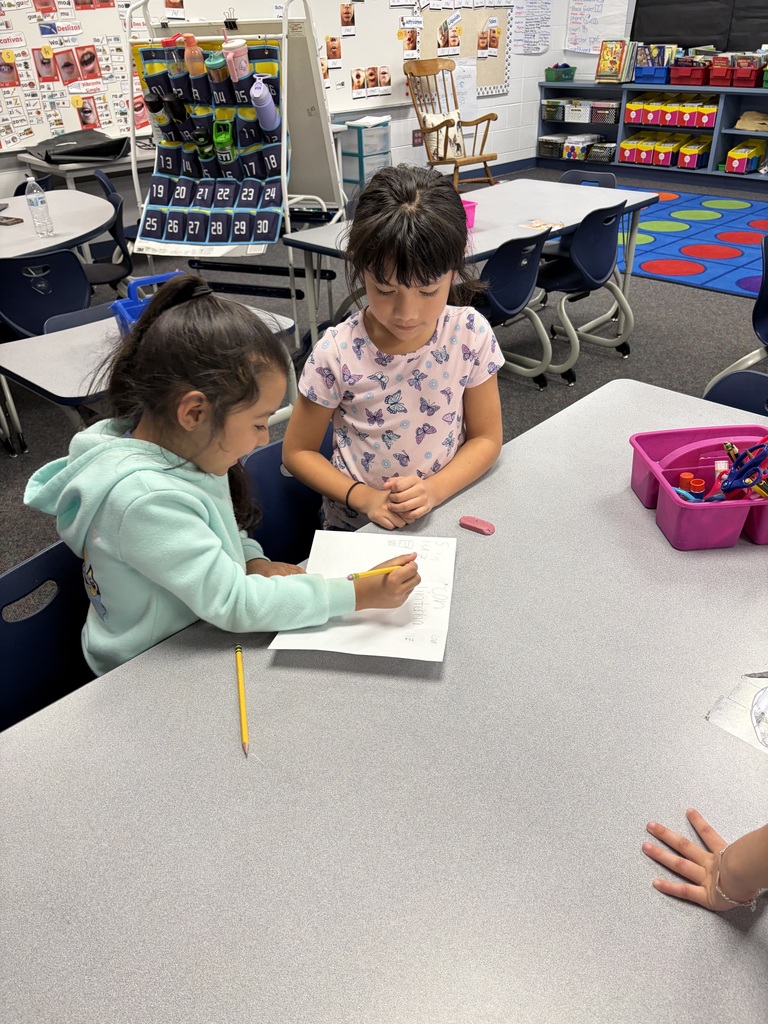 Busy learners in action! 