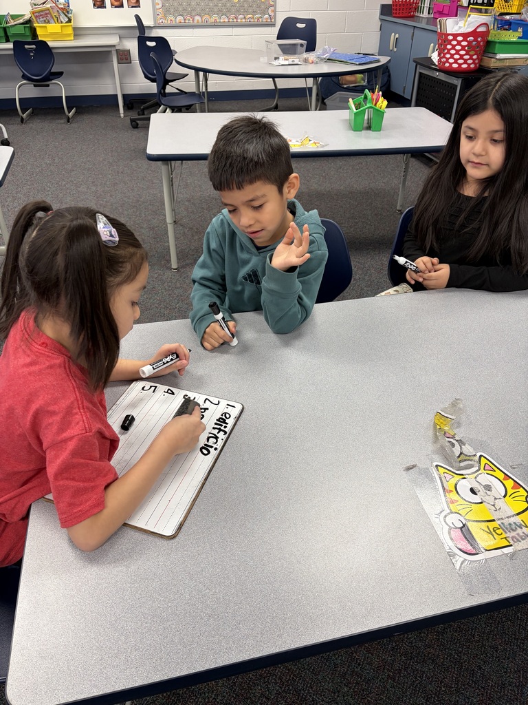 Busy learners in action! 