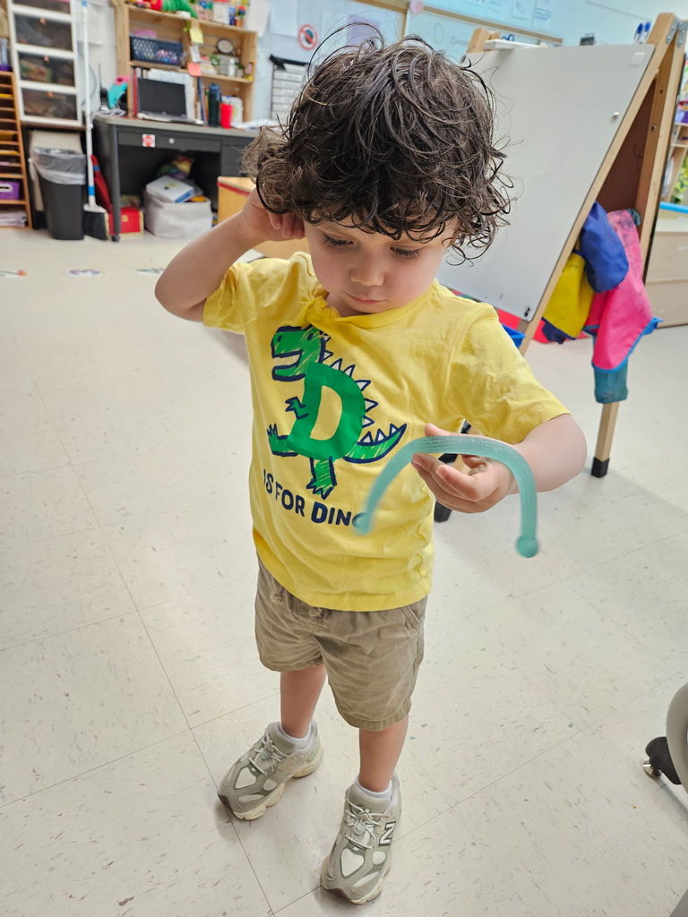 Dinosaur