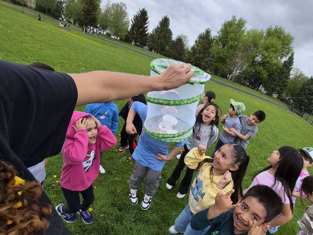 Butterfly Release 