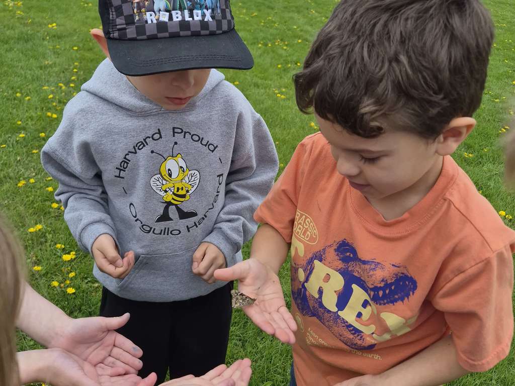 Butterfly Release 