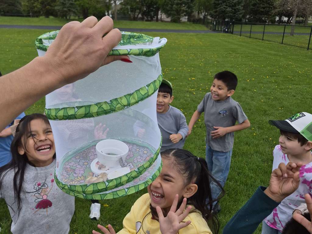 Butterfly Release 