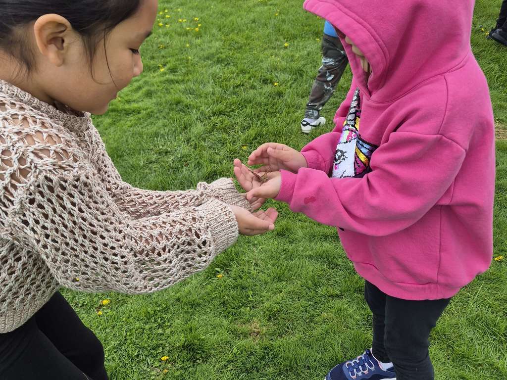 Butterfly Release 