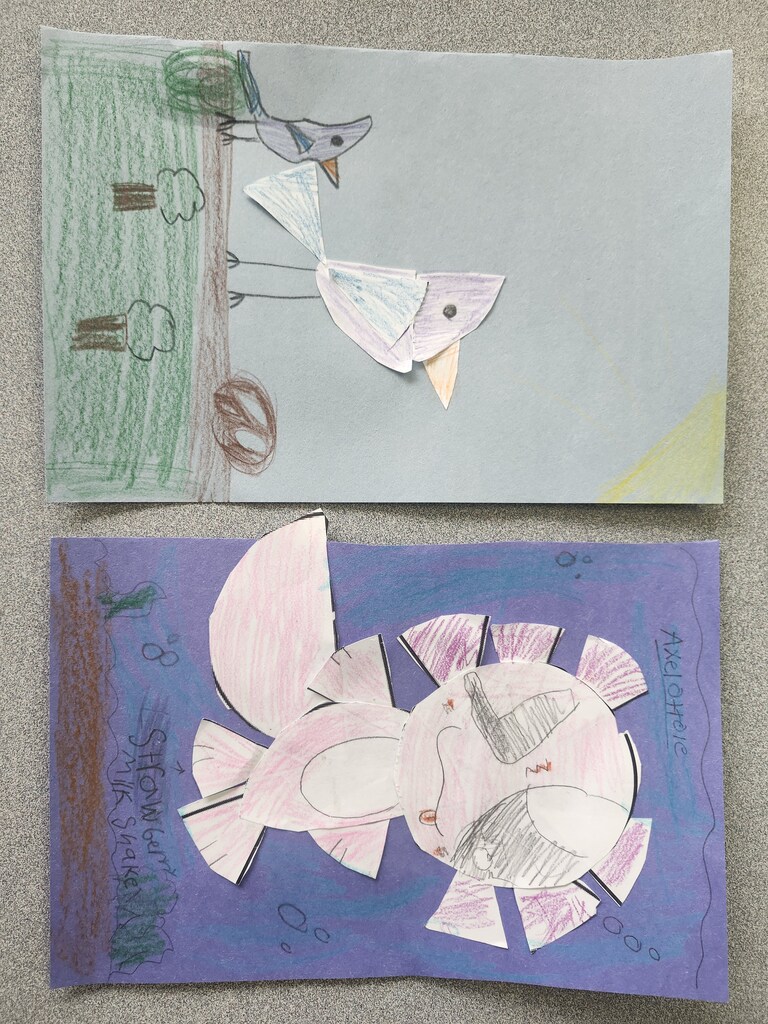 Fraction pictures